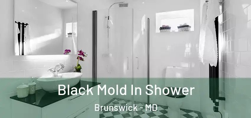 Black Mold In Shower Brunswick - MD