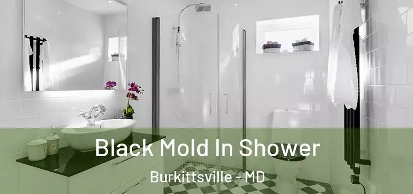 Black Mold In Shower Burkittsville - MD