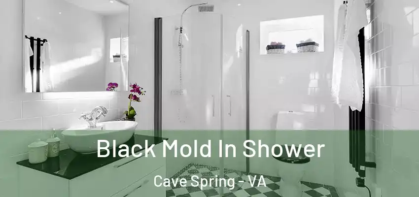 Black Mold In Shower Cave Spring - VA