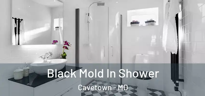  Black Mold In Shower Cavetown - MD