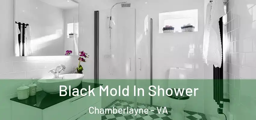  Black Mold In Shower Chamberlayne - VA