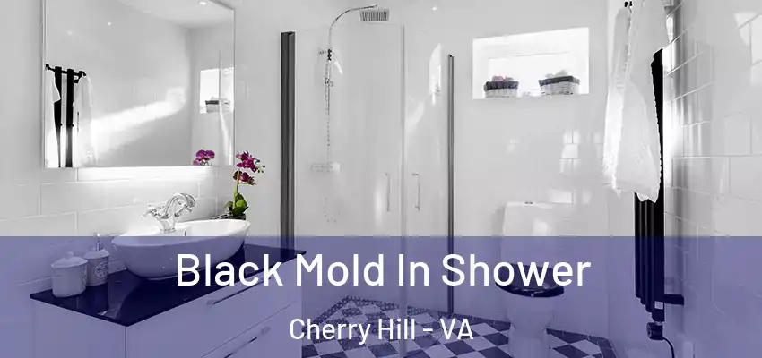 Black Mold In Shower Cherry Hill - VA