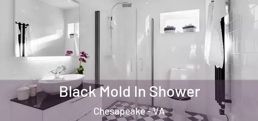 Black Mold In Shower Chesapeake - VA