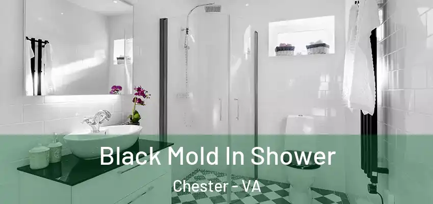 Black Mold In Shower Chester - VA