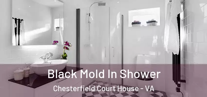 Black Mold In Shower Chesterfield Court House - VA