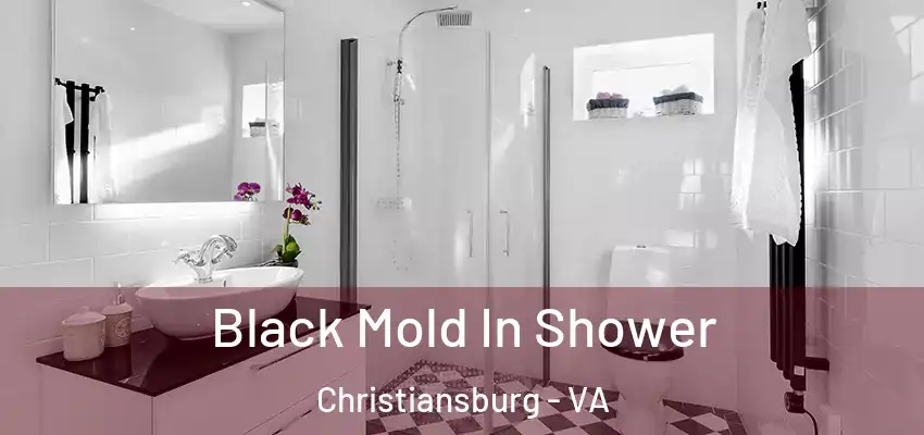Black Mold In Shower Christiansburg - VA