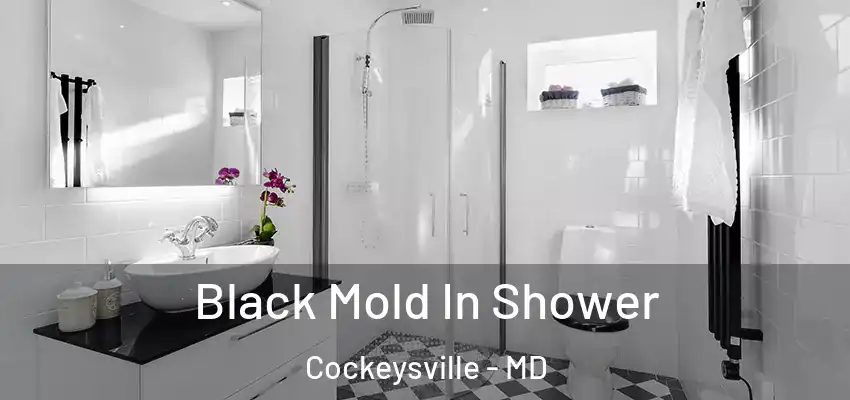 Black Mold In Shower Cockeysville - MD