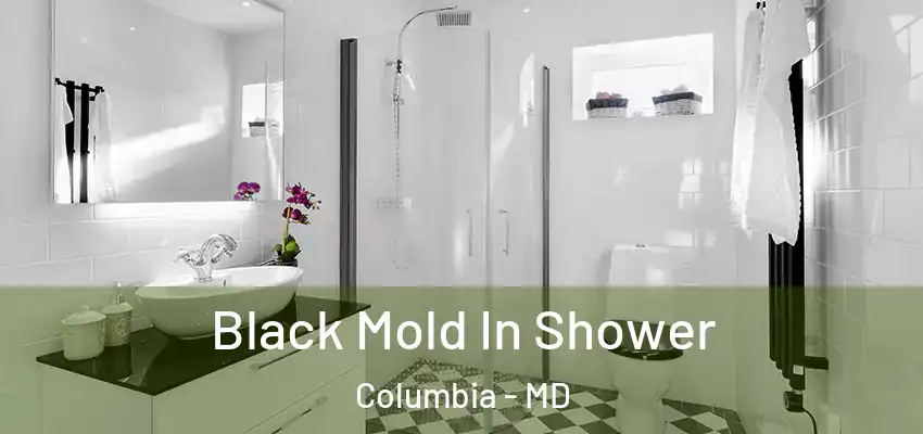  Black Mold In Shower Columbia - MD
