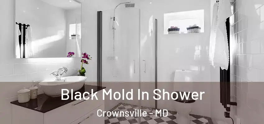 Black Mold In Shower Crownsville - MD