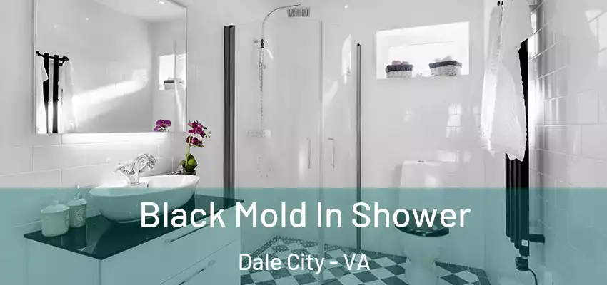 Black Mold In Shower Dale City - VA