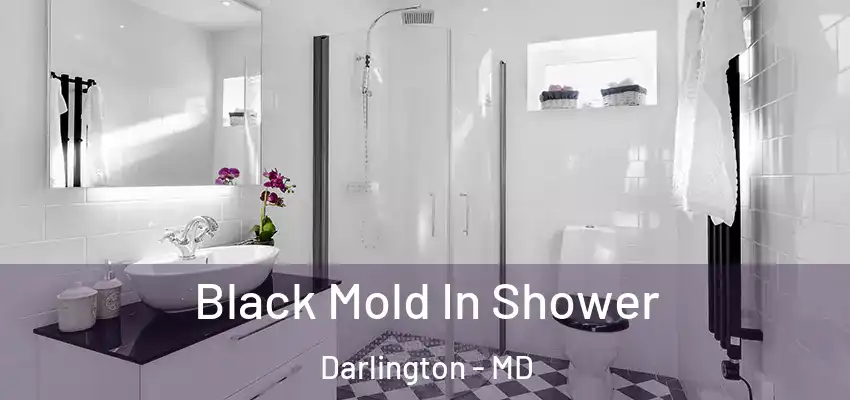  Black Mold In Shower Darlington - MD