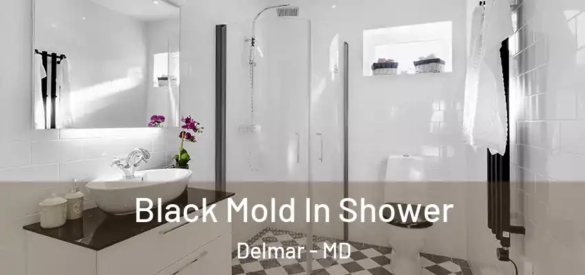 Black Mold In Shower Delmar - MD