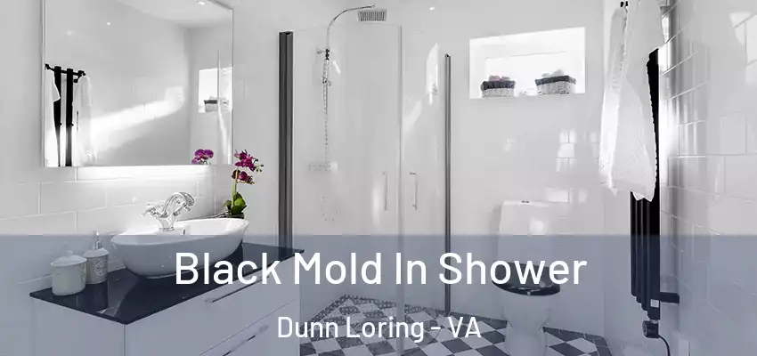  Black Mold In Shower Dunn Loring - VA
