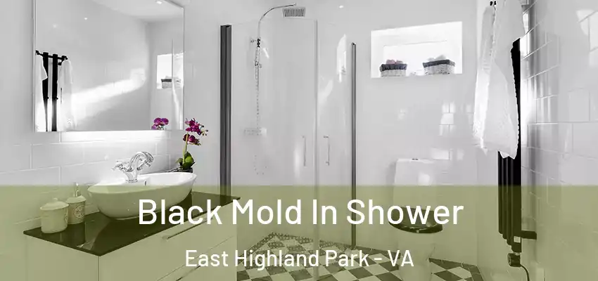 Black Mold In Shower East Highland Park - VA