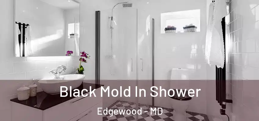 Black Mold In Shower Edgewood - MD
