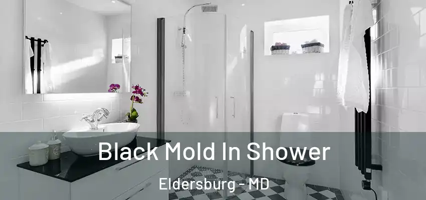  Black Mold In Shower Eldersburg - MD