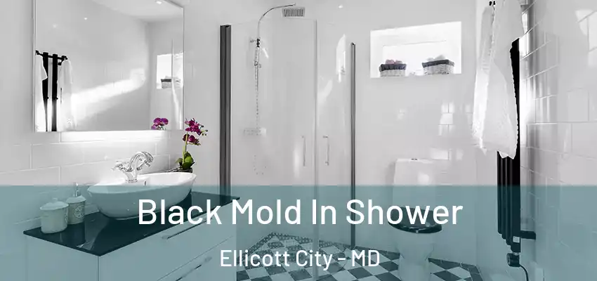 Black Mold In Shower Ellicott City - MD