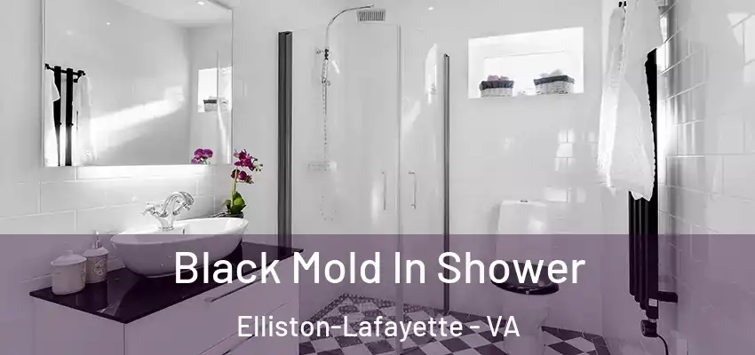 Black Mold In Shower Elliston-Lafayette - VA