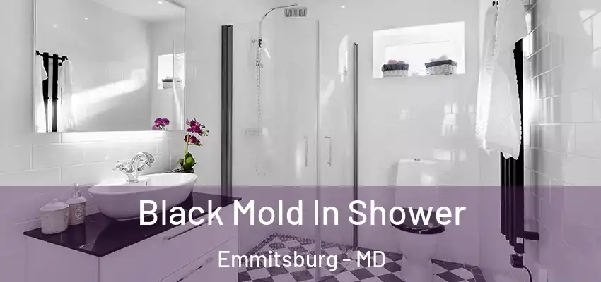 Black Mold In Shower Emmitsburg - MD