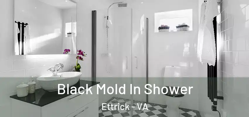  Black Mold In Shower Ettrick - VA