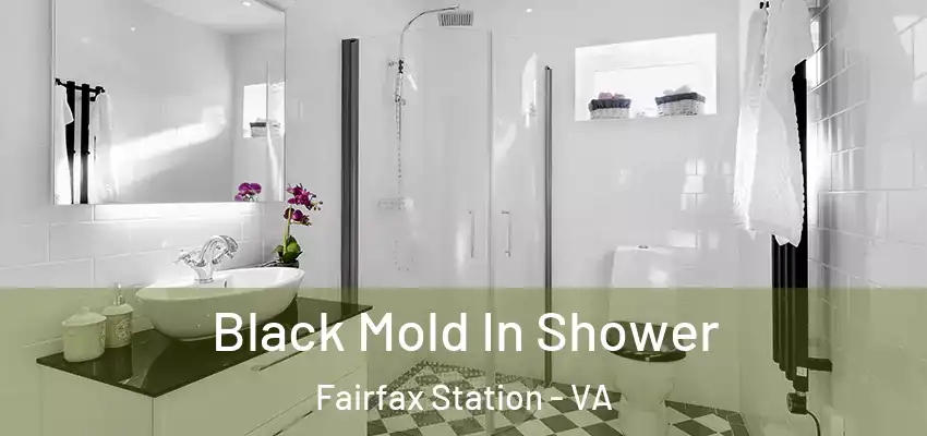 Black Mold In Shower Fairfax Station - VA