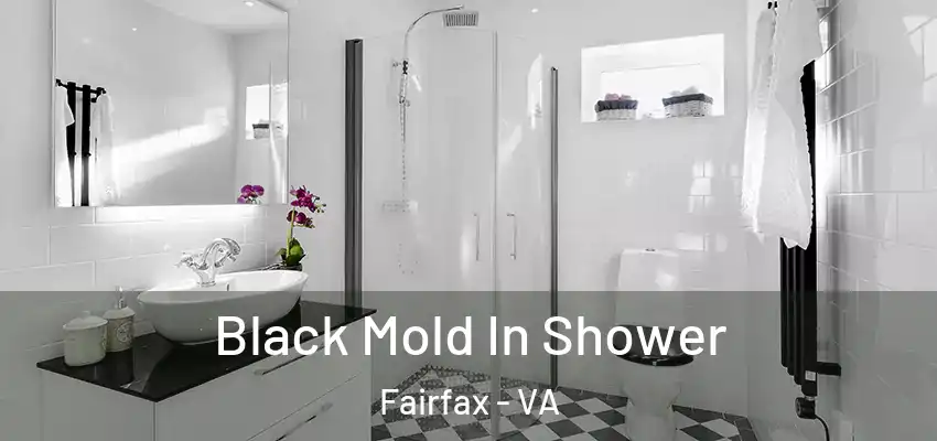  Black Mold In Shower Fairfax - VA