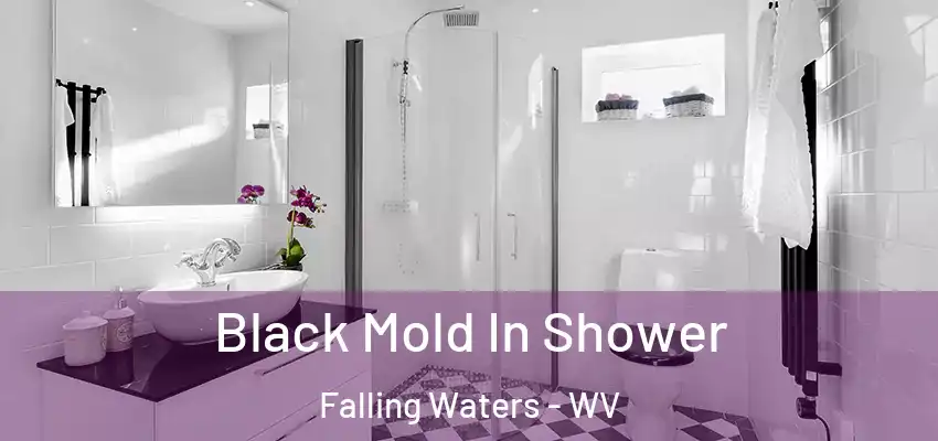 Black Mold In Shower Falling Waters - WV
