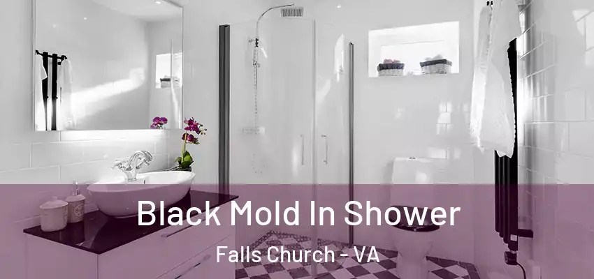 Black Mold In Shower Falls Church - VA