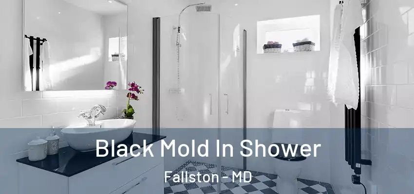  Black Mold In Shower Fallston - MD