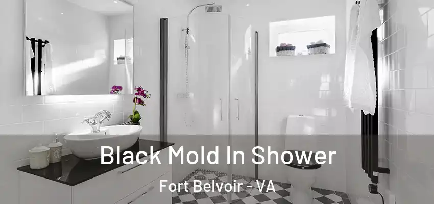  Black Mold In Shower Fort Belvoir - VA