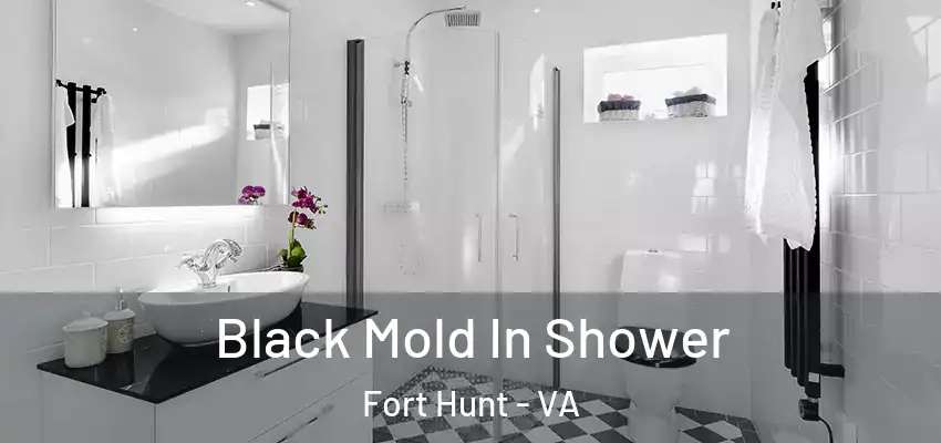  Black Mold In Shower Fort Hunt - VA