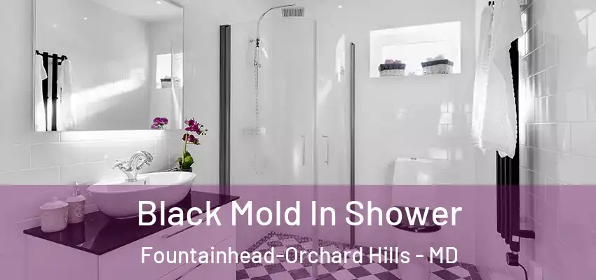  Black Mold In Shower Fountainhead-Orchard Hills - MD