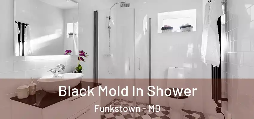  Black Mold In Shower Funkstown - MD