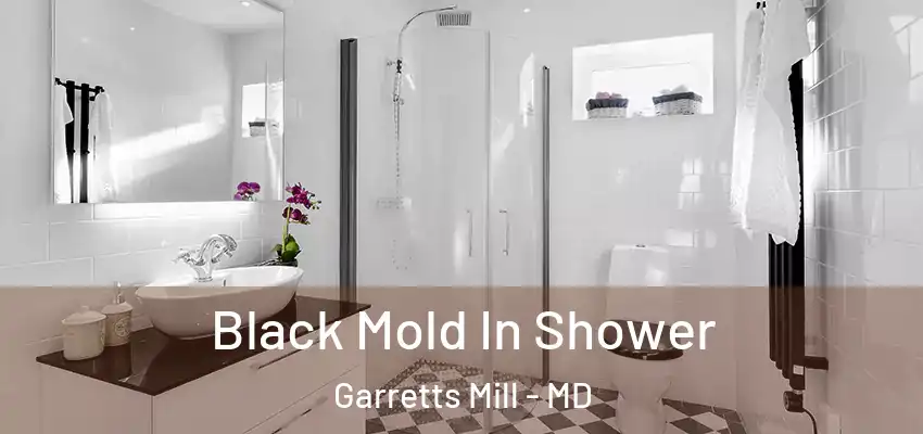 Black Mold In Shower Garretts Mill - MD