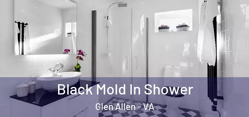  Black Mold In Shower Glen Allen - VA