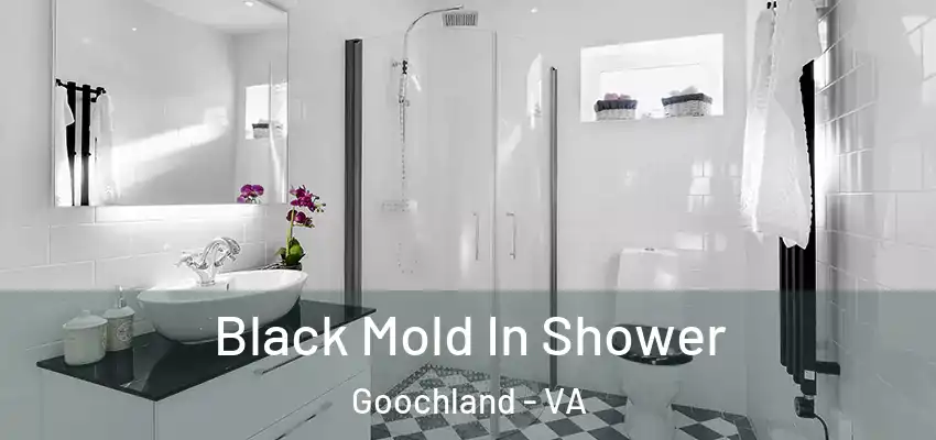 Black Mold In Shower Goochland - VA