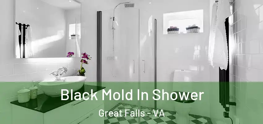 Black Mold In Shower Great Falls - VA