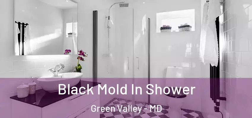 Black Mold In Shower Green Valley - MD