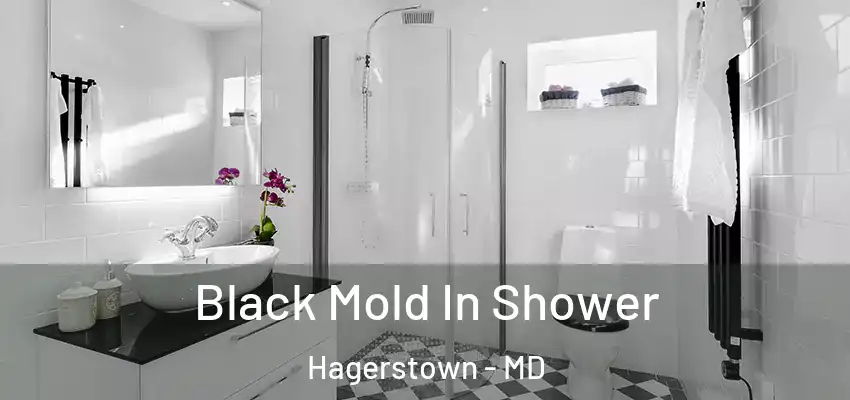Black Mold In Shower Hagerstown - MD