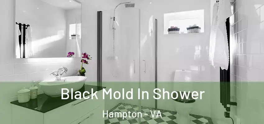 Black Mold In Shower Hampton - VA