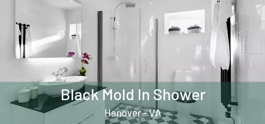  Black Mold In Shower Hanover - VA