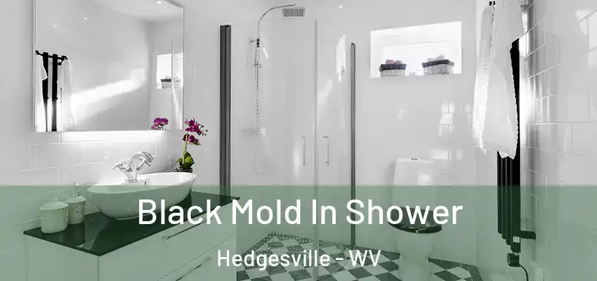 Black Mold In Shower Hedgesville - WV
