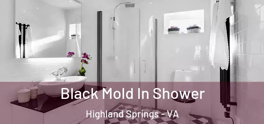 Black Mold In Shower Highland Springs - VA