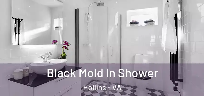  Black Mold In Shower Hollins - VA