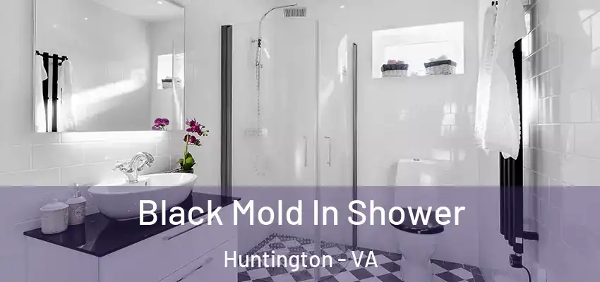Black Mold In Shower Huntington - VA