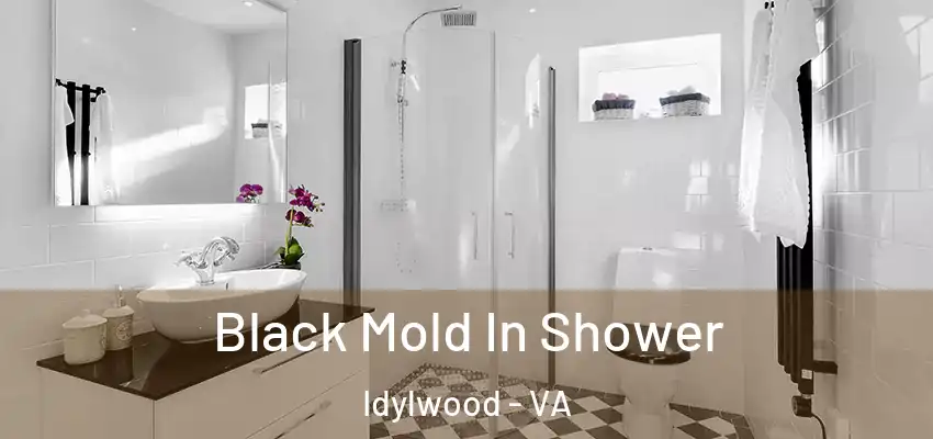  Black Mold In Shower Idylwood - VA