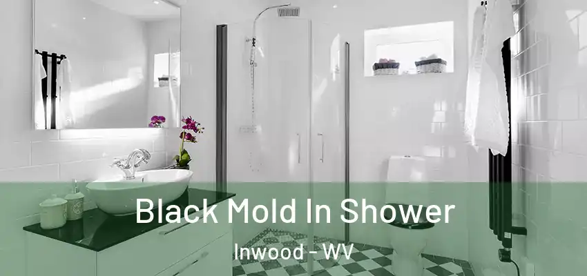Black Mold In Shower Inwood - WV