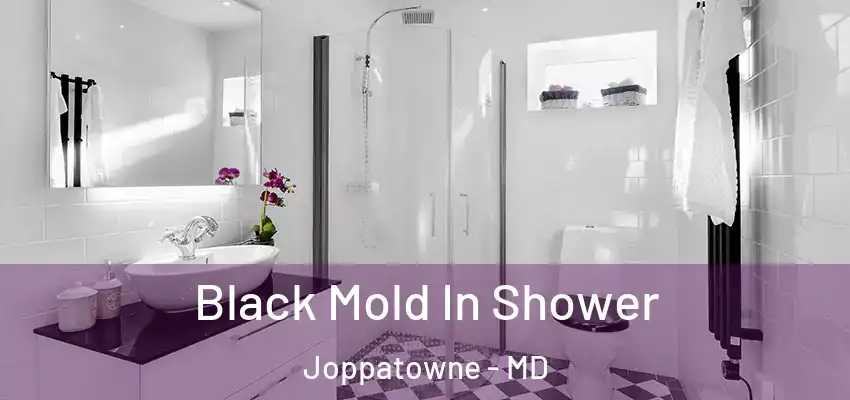  Black Mold In Shower Joppatowne - MD
