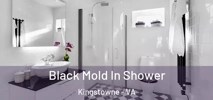  Black Mold In Shower Kingstowne - VA