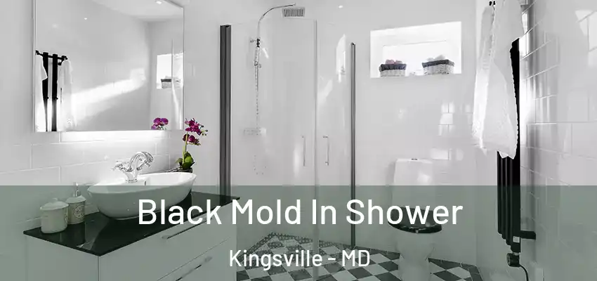 Black Mold In Shower Kingsville - MD